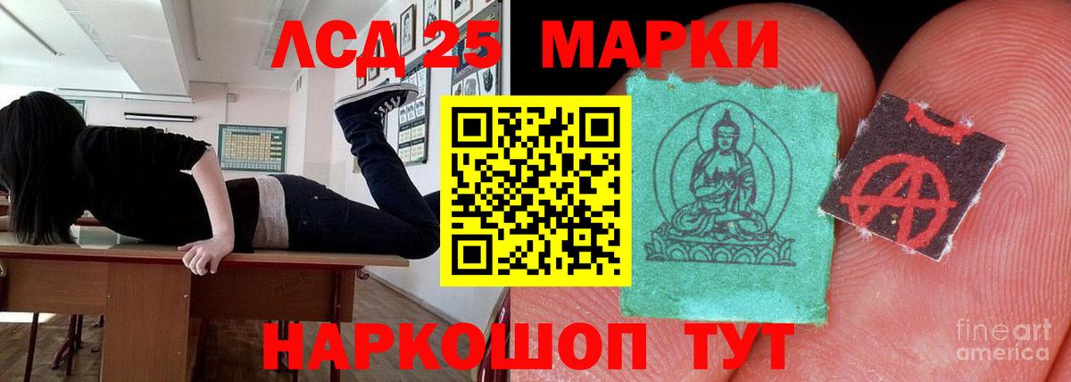 Лсд 25 экстази ecstasy  ЛСД экстази ecstasy  Курчалой  Вход с VPN 