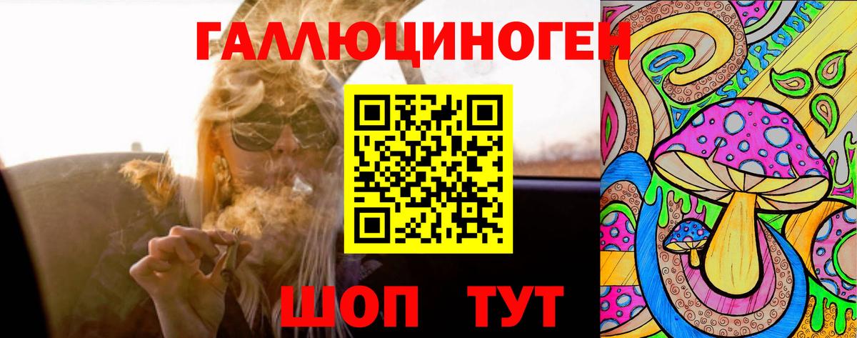 Псилоцибиновые грибы Cubensis  Вход с VPN  Курчалой 