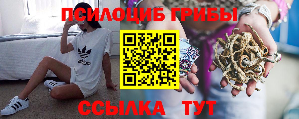 Псилоцибиновые грибы MAGIC MUSHROOMS Курчалой